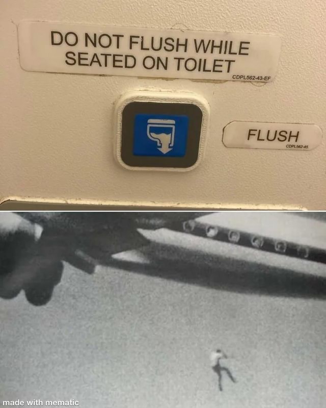 do-not-flush-while-seated-on-toilet-seas-er-america-s-best-pics-and