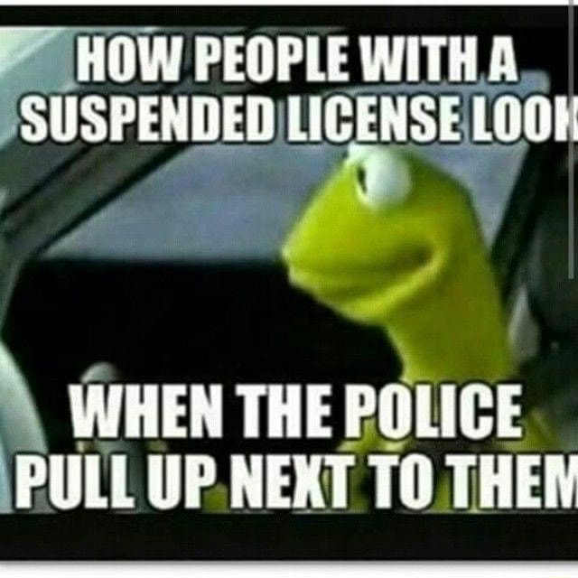 HOW PEOPLE WITH A SUSPENDED LICENSE LOOK WHEN THE POLICE PULL UP NEXT ...