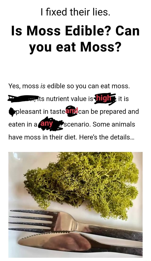 is-moss-edible-can-you-eat-moss-yes-moss-is-edible-so-you-can-eat