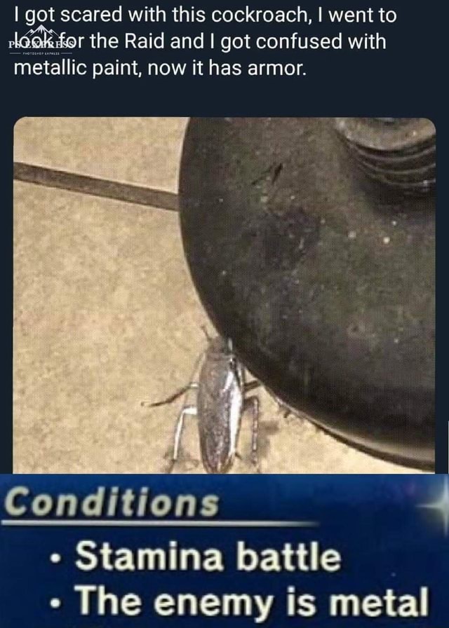 I got scared with this cockroach, I went to Mªga the Raid and I got  confused with metallic paint, now it has armor. - iFunny, image size:640x896