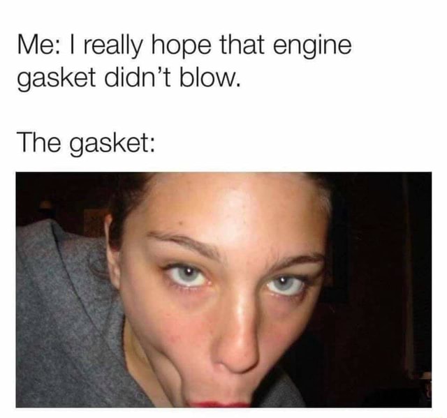 Me I really hope that engine gasket didn't blow. The gasket iFunny