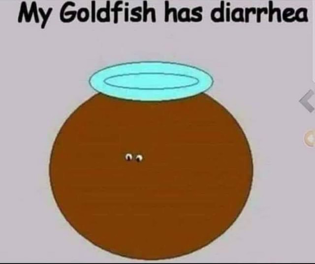 My Goldfish has diarrhea America’s best pics and videos