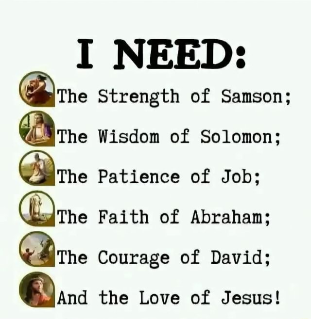 I NEED: he Strength of Samson; The Wisdom of Solomon; The Patience of ...