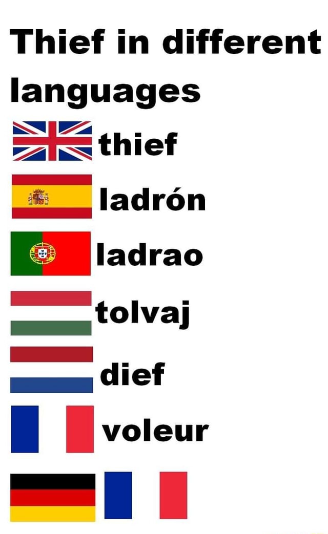 thief-in-different-languages-thief-adron-ladrao-vj-cief-voleur-ifunny