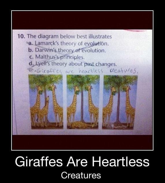 Giraffes Are Heartless Creatures Giraffes Are Heartless Creatures