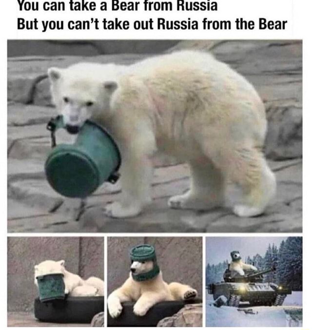 Fe a Bear you take out Russia from the Bear - iFunny