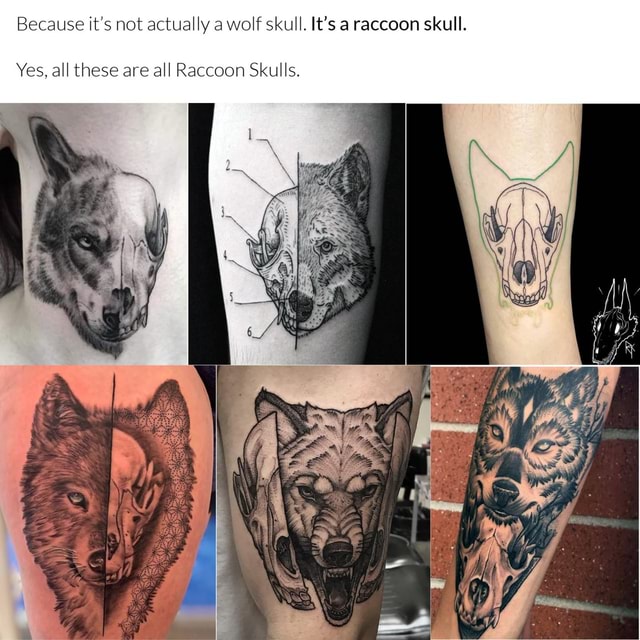 The glorious story of the misshaped wolf skull tattoo - sa raccoon ...