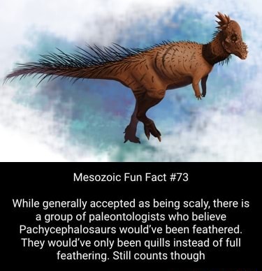 Mesozoic Fun Fact #73 While generally accepted as being scaly, there is ...