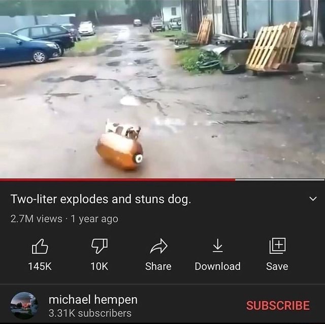 Twoliter explodes and stuns dog. 2.7M views 1 year ago a L 145K Share
