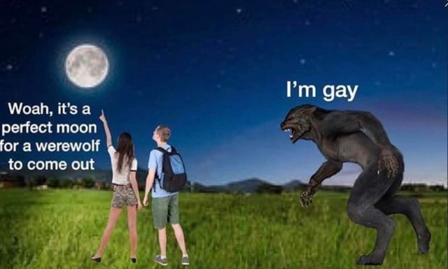 creative funny gay meme