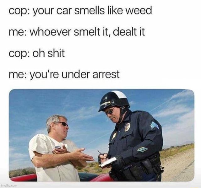 He who did the rhyme, does the time - cop: your car smells like weed me ...