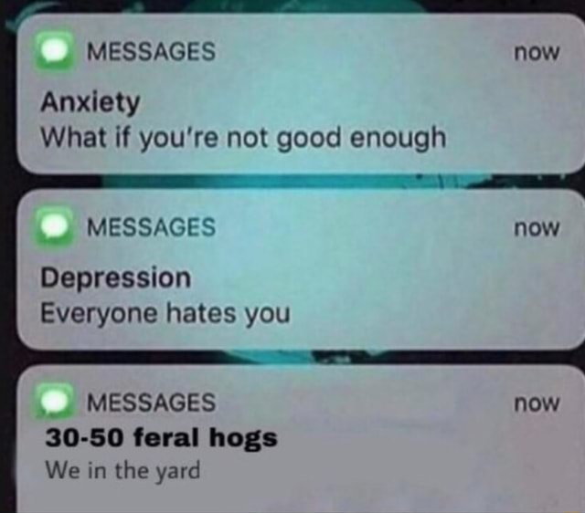 what-if-you-re-not-good-enough-now-messages-30-50-feral-hogs-we-in-the