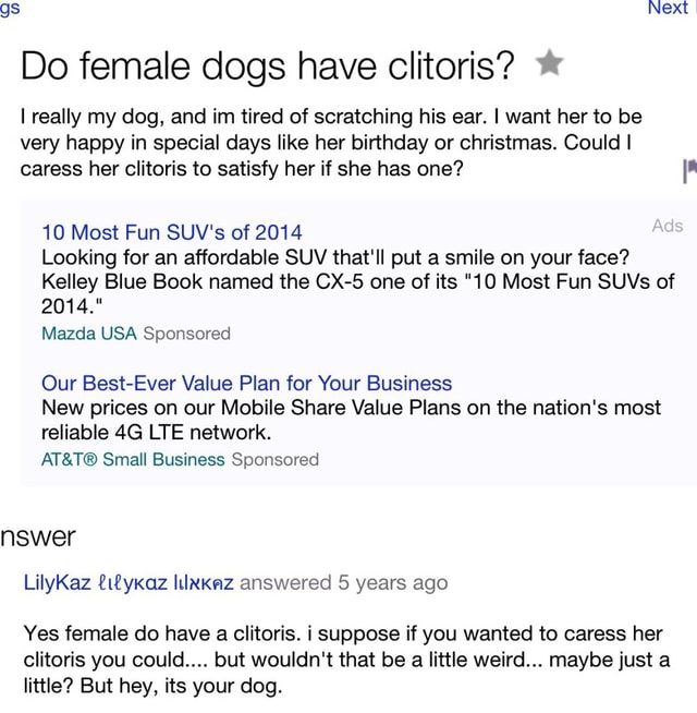 Gs Next Do female dogs have clitoris? I really my dog, and im tired of