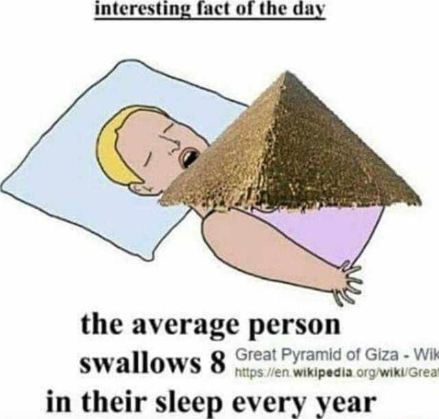 Interesting fact of the day the average person Great Pyramid of Giza ...