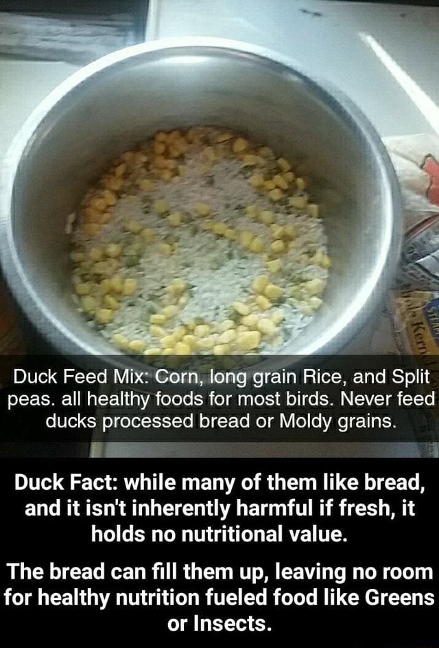 Duck Feed Mix Gorn, long grain Rice, and Split peas. all healthy foods for most birds. Never