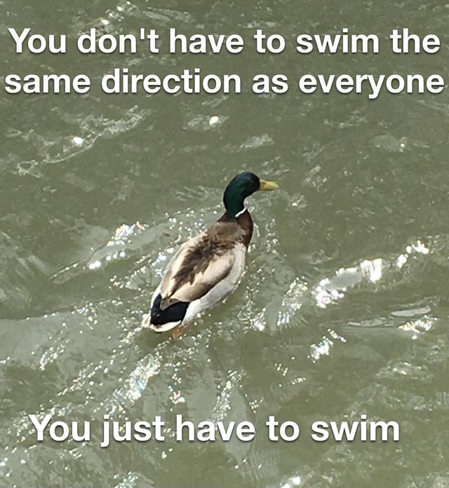 You don't have to swim the same direction as everyone od ge You just