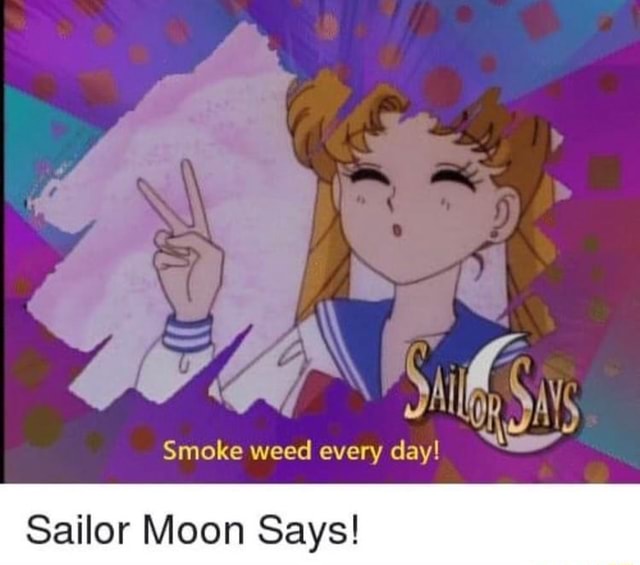 Sailor Moon Says