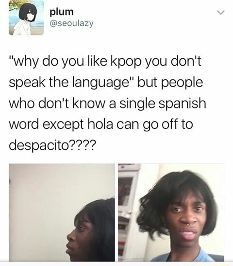 Why Do You Like Kpop You Don T Speak The Language But People Who Don T Know A Single Spanish Word Except Hola Can Go Off To Despacito