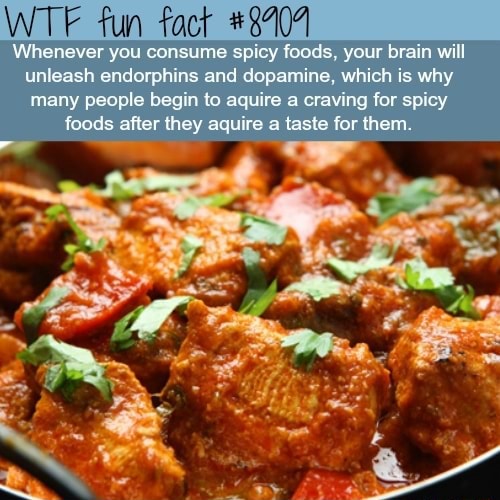 Fun fact _*8704 Whenever you consume spicy foods, your brain will