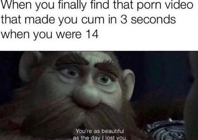 Vynen You Finally Find That Porn Video That Made You Cum In 3 Seconds When You Were 14 Ifunny