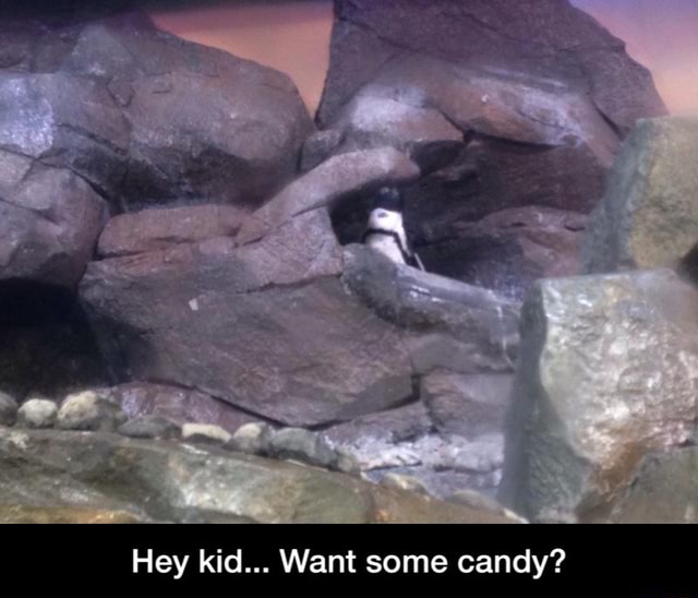 ifunny psst want some candy