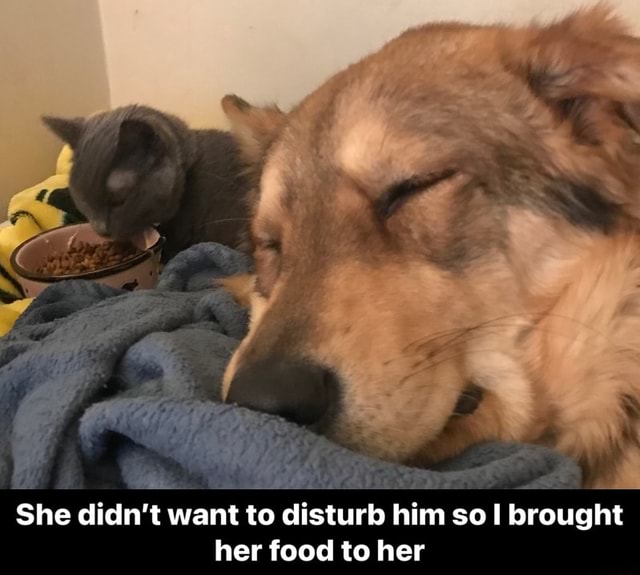 She Didn t Want To Disturb Him So Brought Her Food To Her She Didn t 