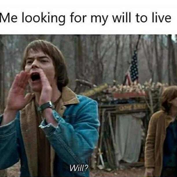 Me looking for my will to live ifunny brazil