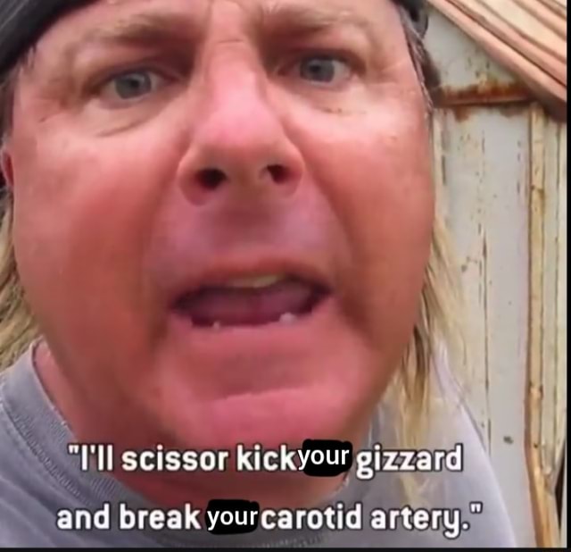 Scissor kickyour gizzard and break yourcarotid artery iFunny