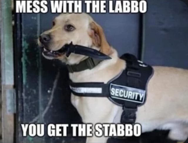 MESS WITH THE LABBO YOU GET THE STABBO - iFunny