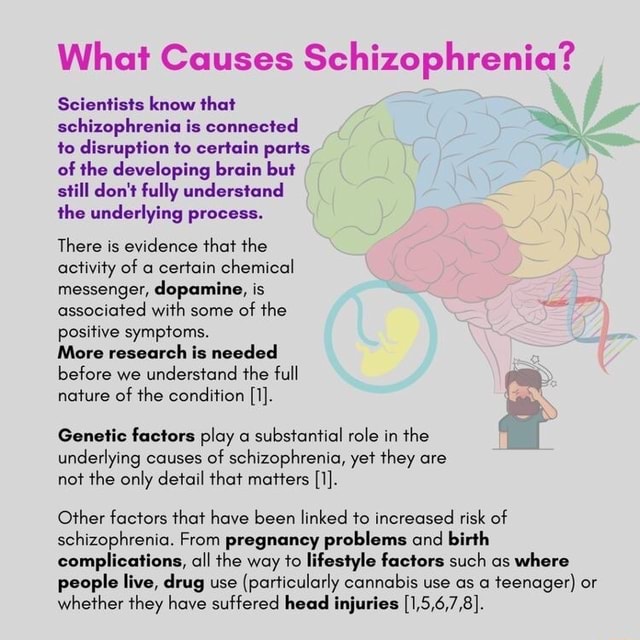 What Causes Schizophrenia? Scientists know that schizophrenia is ...