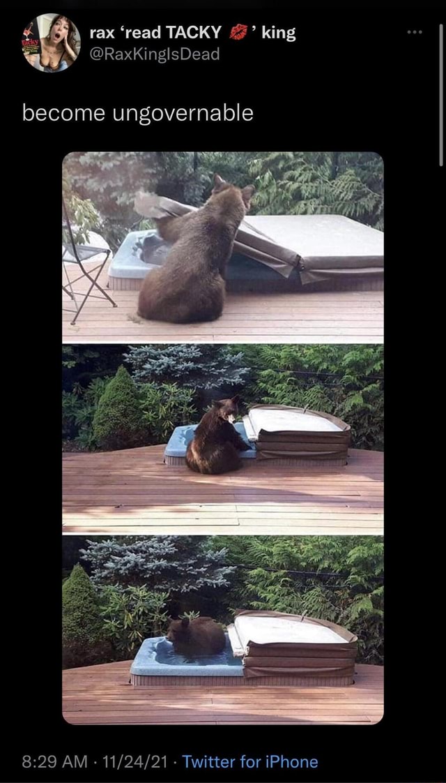 Funny Random Meme and Twitter Dump rax 'read TACKY king