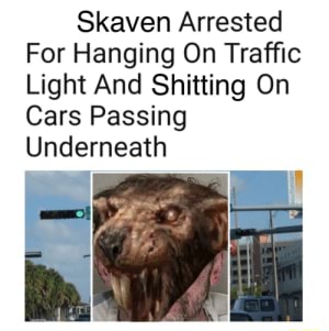 Florida Rat-Man XII - Skaven Arrested For Hanging On Traffic Light And ...