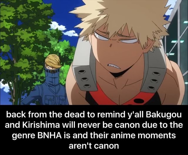 Kirishima X Bakugou Canon