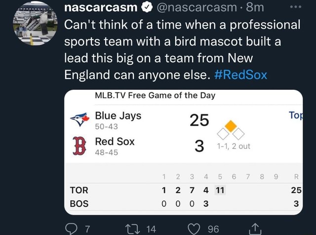 Nascarcasm nascarcasm Can t Think Of A Time When A Professional Sports Team With A Bird 