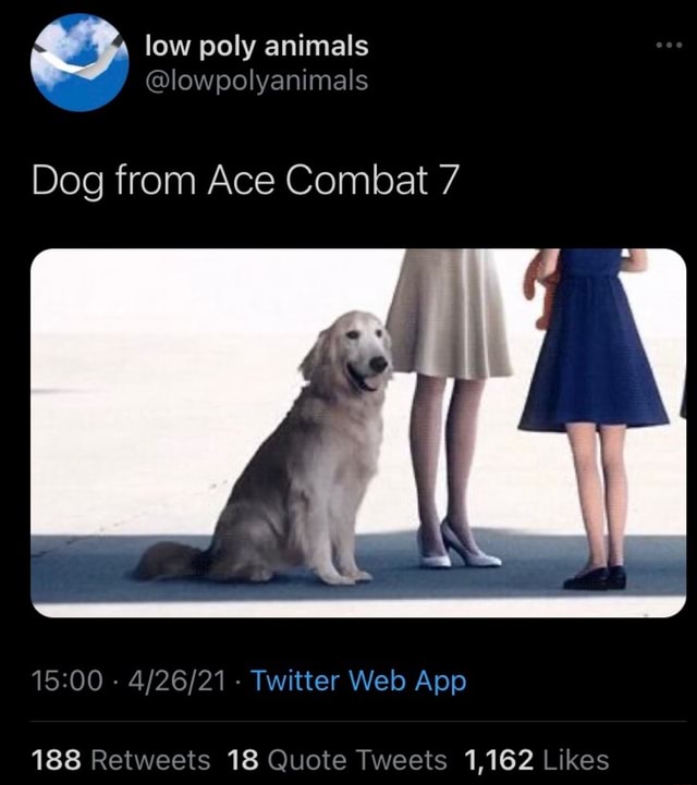 ace combat 7 dog