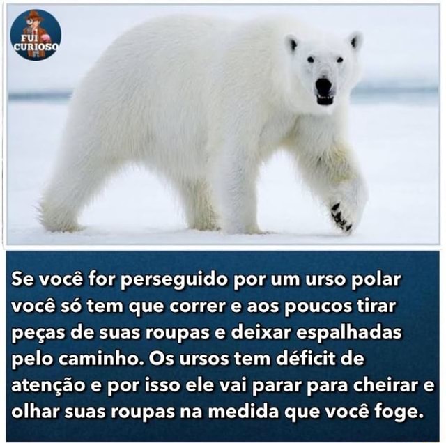 Se você for perseguido por um urso polar você só tem que correr e aos