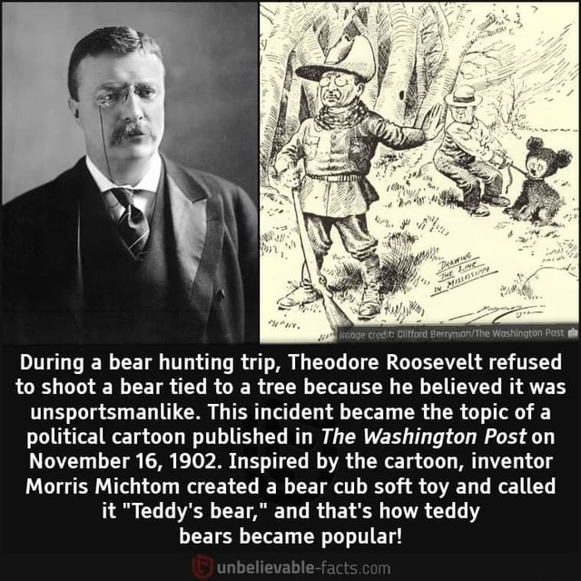 During a bear hunting trip, Theodore Roosevelt refused to shoot a bear ...