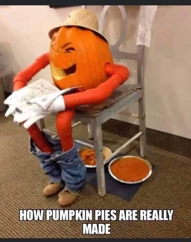 how-pumpkin-pies-are-really-made