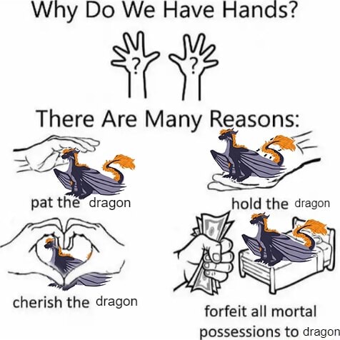 Why Do We Have Hands? There Are Many Reasons =O. al pat the dragon hold ...