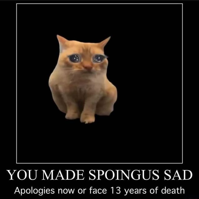 YOU MADE SPOINGUS SAD Anologies now or face 13 vears of death - iFunny ...