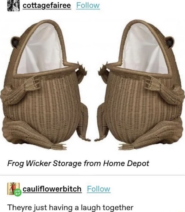 Frog Wicker Storage Home Depot