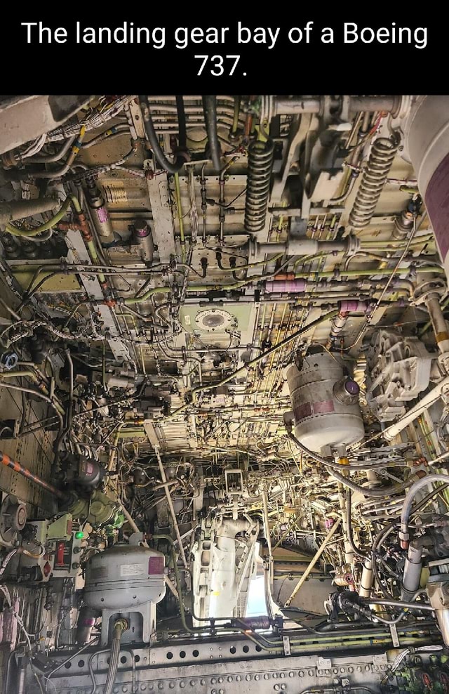 Le The Landing Gear Bay Of A Boeing Ifunny