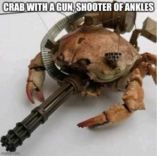 CRAB WITH A GUN, SHOOTER OF ANKLES - iFunny Brazil