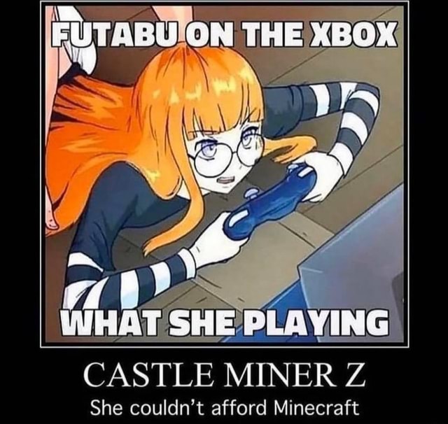 Th Castle Miner Z She Couldn T Afford Minecraft Ifunny