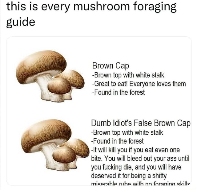 This is every mushroom foraging guide Brown Cap Brown top with white
