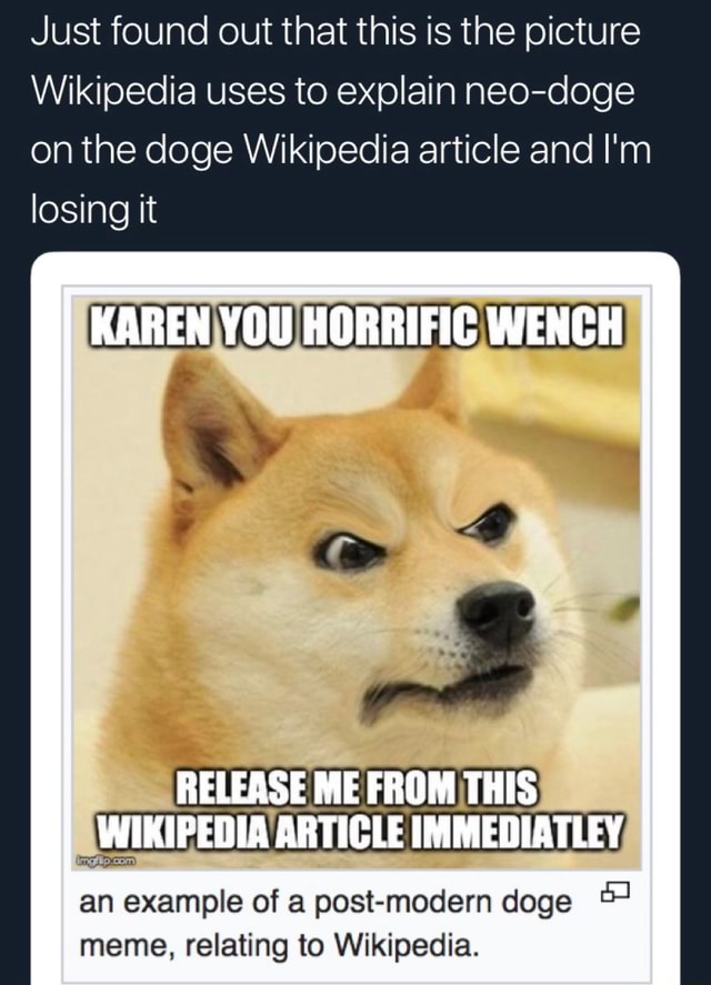 Just Found Out That This Is The Picture Wikipedia Uses To Explain Neo Doge On The Doge Wikipedia Article And I M Losing It Release Ill Rnommls Wikipedia Iiitigle Illillll L Lﬂ An Example Of A