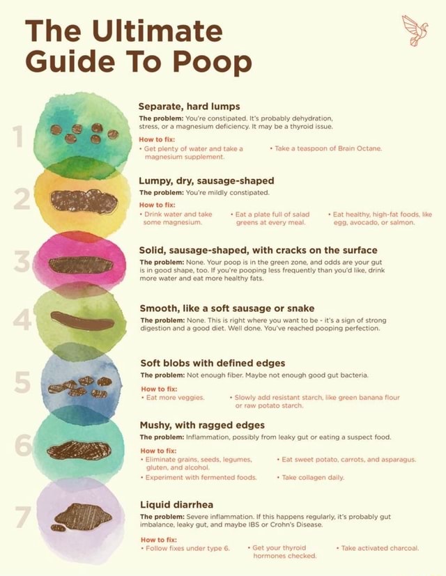 The Ultimate Guide To Poop Separate, hard lumps The problem: You're ...