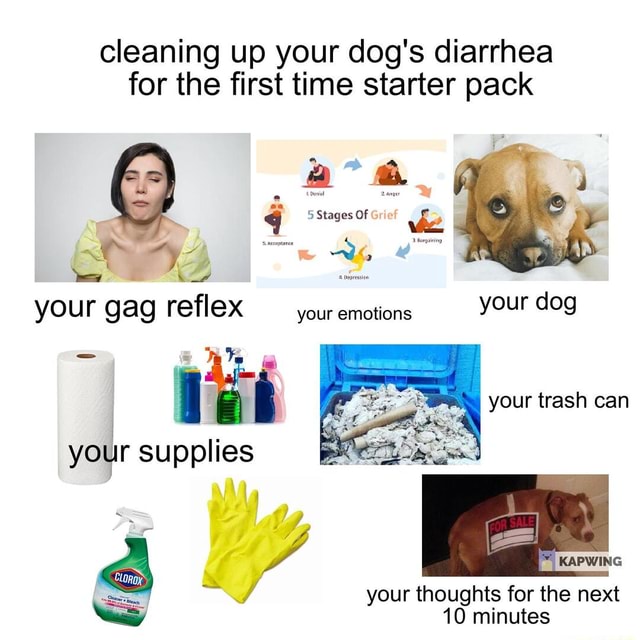 Cleaning up your dog's diarrhea for the first time starter pack 5