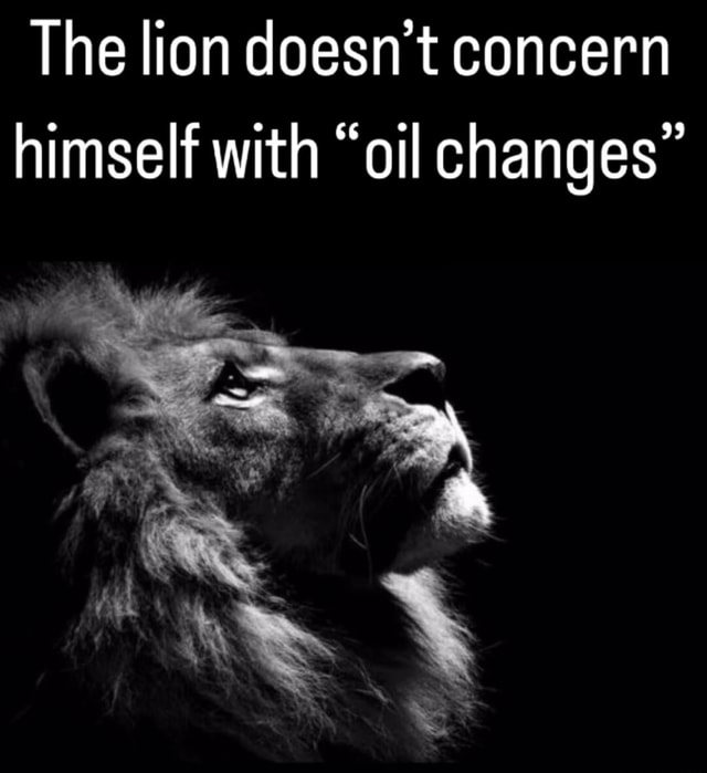 The lion doesn't concern himself with "oil changes" iFunny