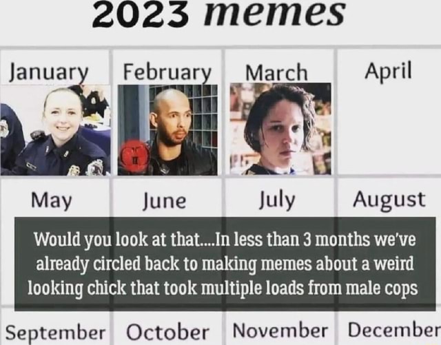 2025 memes January April May June July August Would you look at that